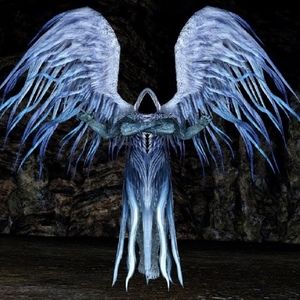 Meet your Posher, Dr